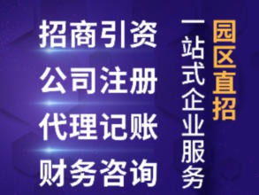 投资管理公司转让全面指南 流程、风险与关键点解析